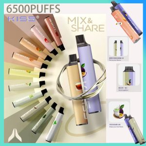 KISS凱斯一次性6500Puffs 拋棄式電子煙 口味隨心混搭 可充電