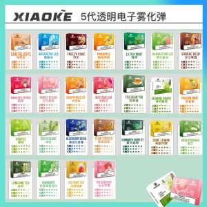 【買五盒送主機】XIAOKE梟客霧化煙彈 適配五代主機 高品質 不漏油